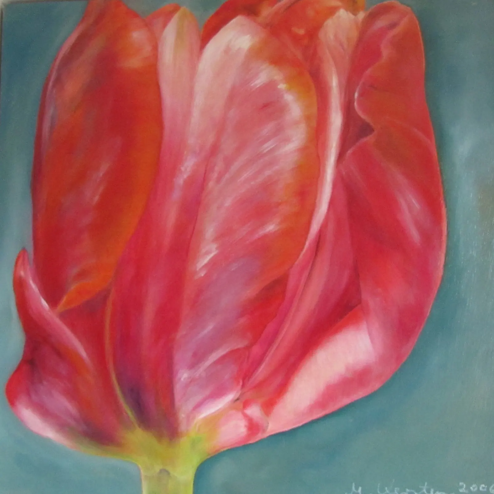 Rote Tulpe Ölmalerei